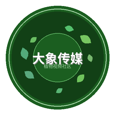 大象传媒